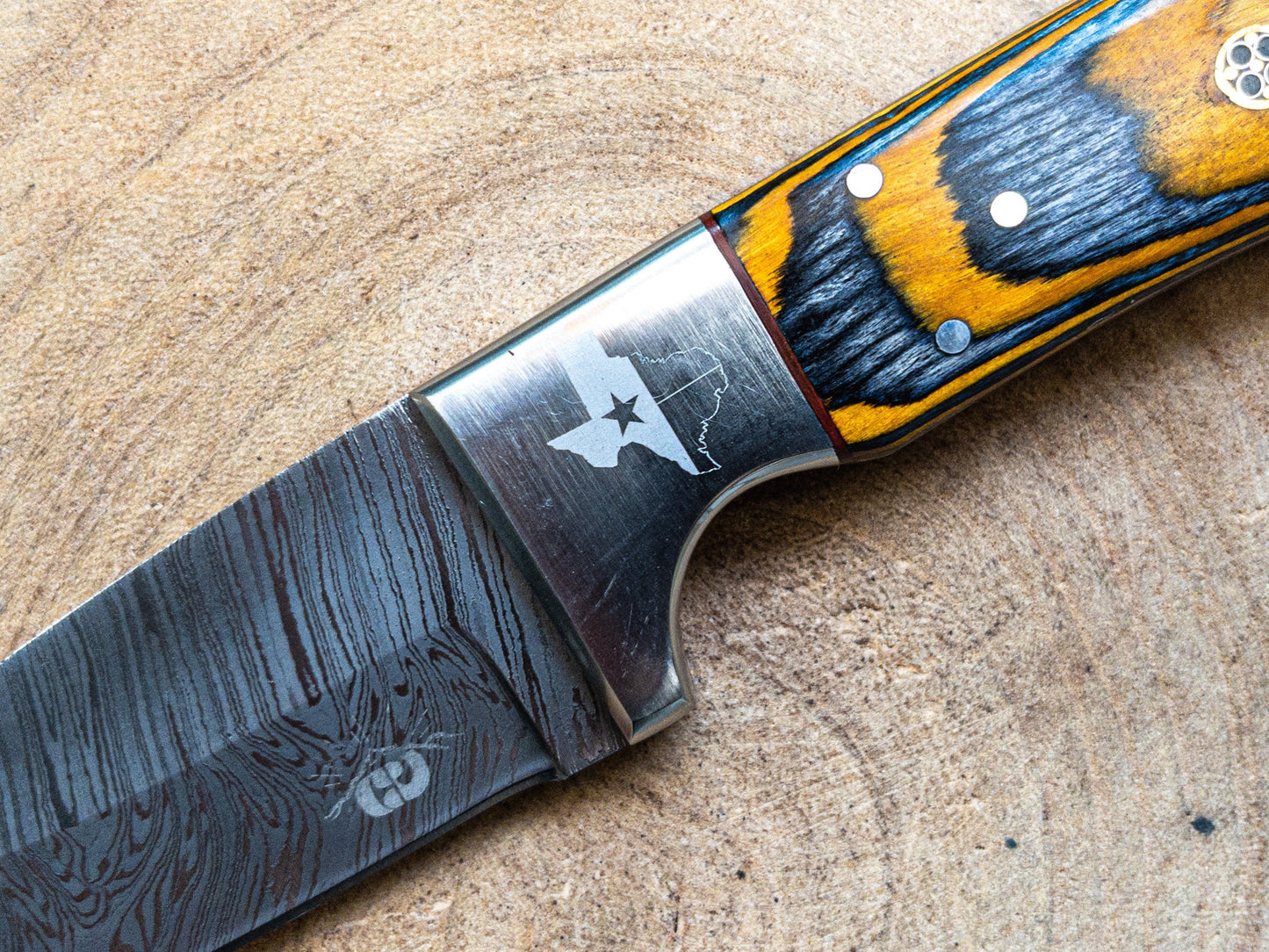 Damascus Hunting EDC Knife, Texas Hornet